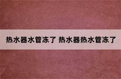 热水器水管冻了 热水器热水管冻了